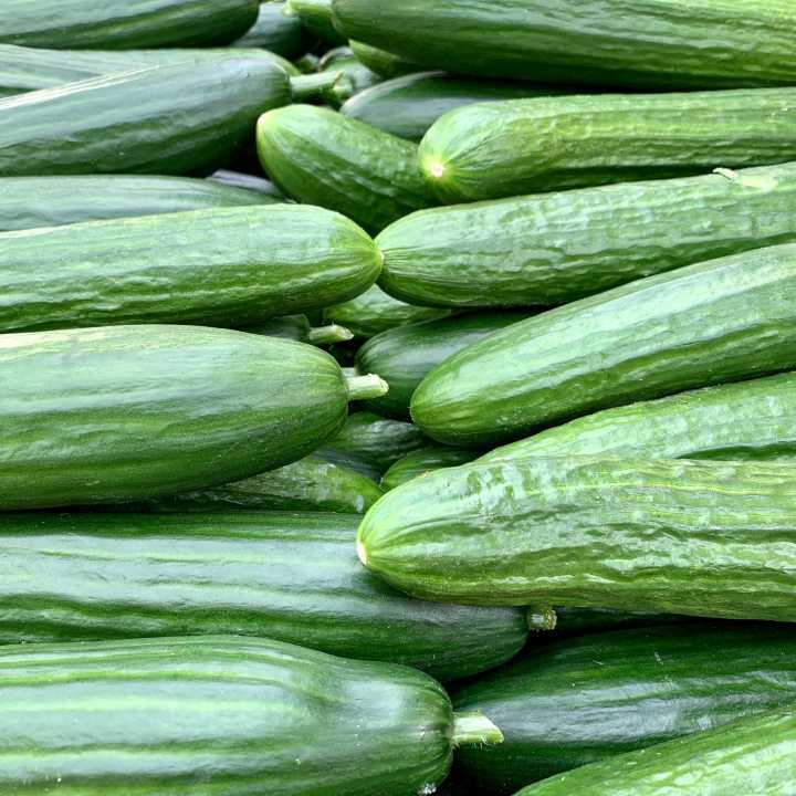 Cucumber (each)