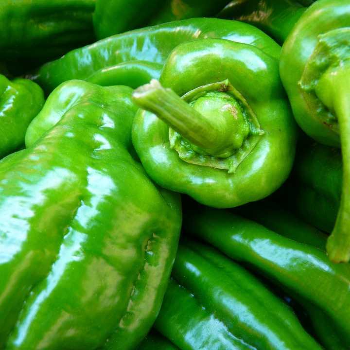 Green Pepper (p/kg)
