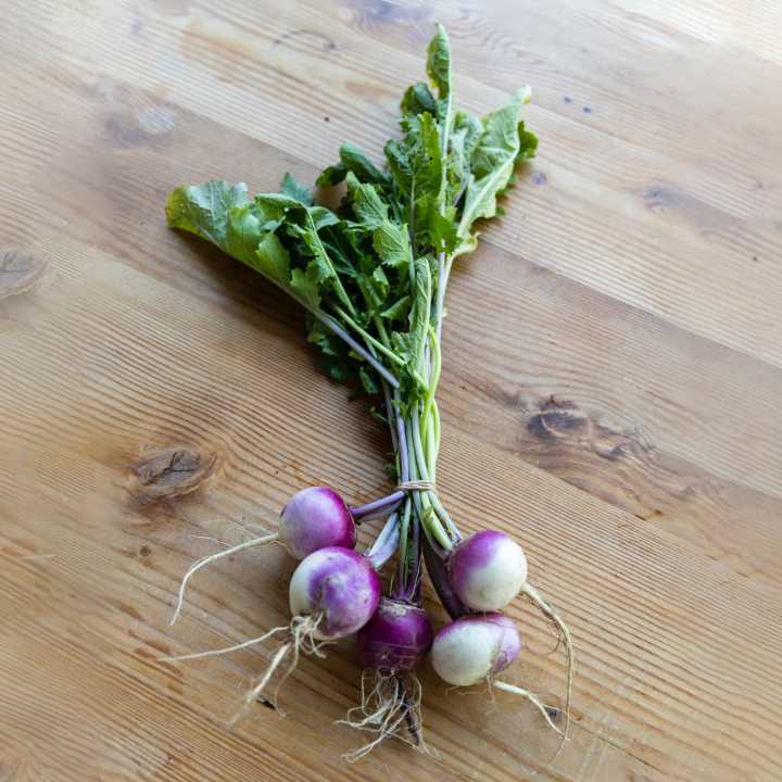 Turnip bunch