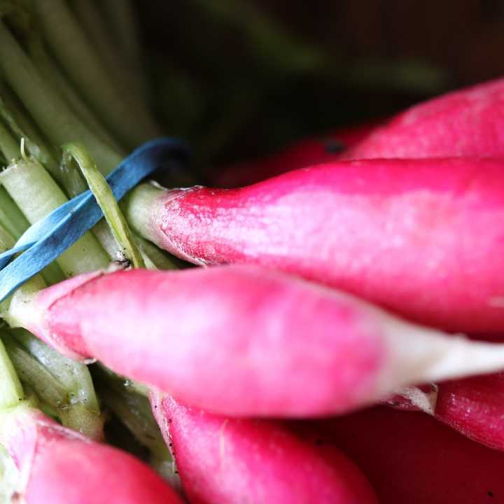 Radish (p/kg)