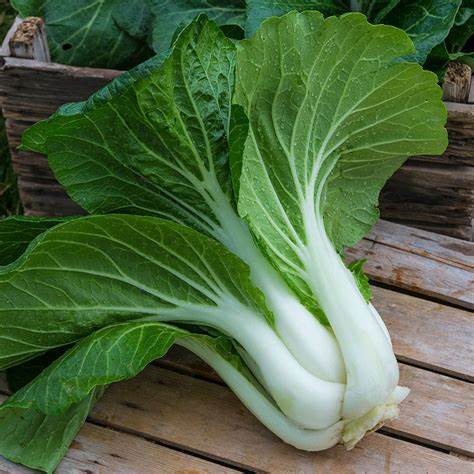 Pak Choi (bunch)
