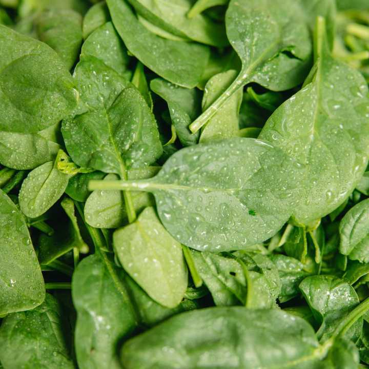 Spinach (bunch)