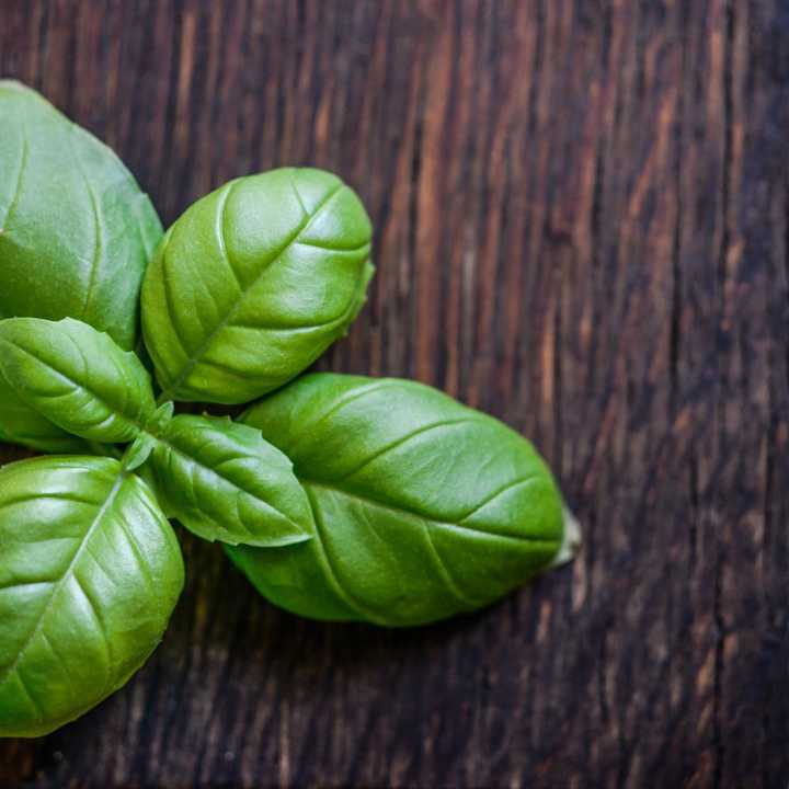 Basil (100g)