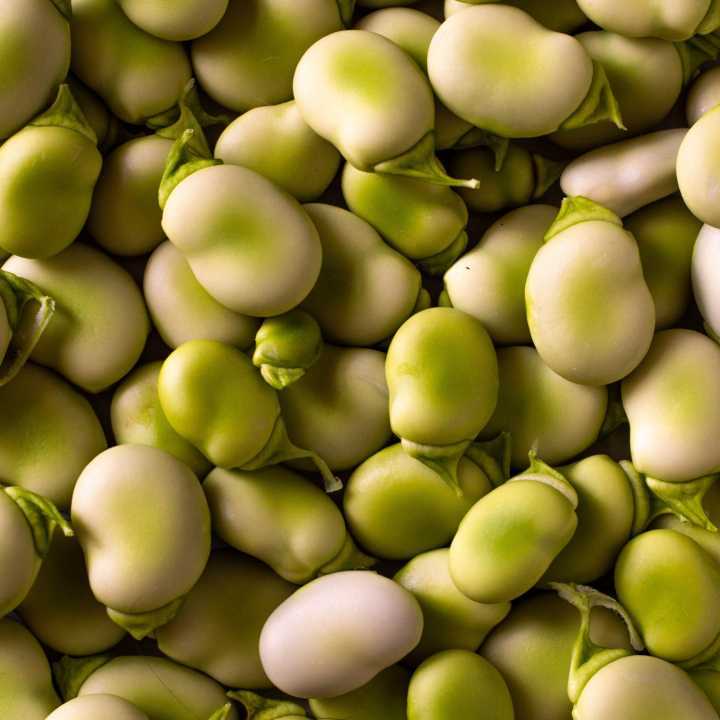Broad Beans (p500g)